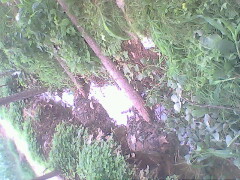 IMG0791A_01.jpg