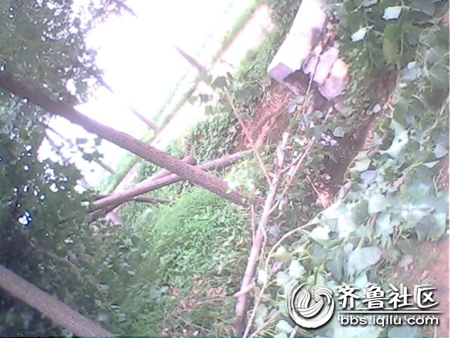 IMG0779A.jpg