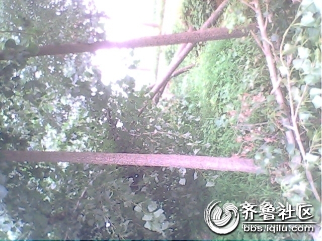 IMG0778A.jpg