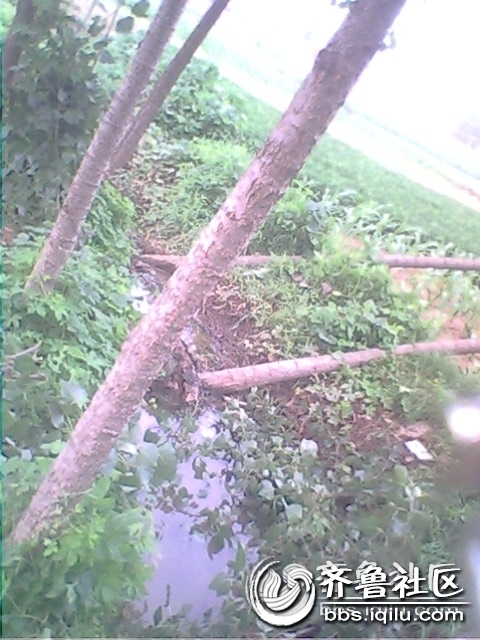 IMG0789A.jpg