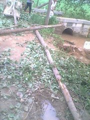 IMG0798A_01.jpg
