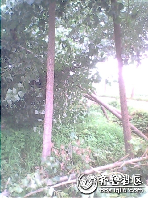 IMG0778A.jpg
