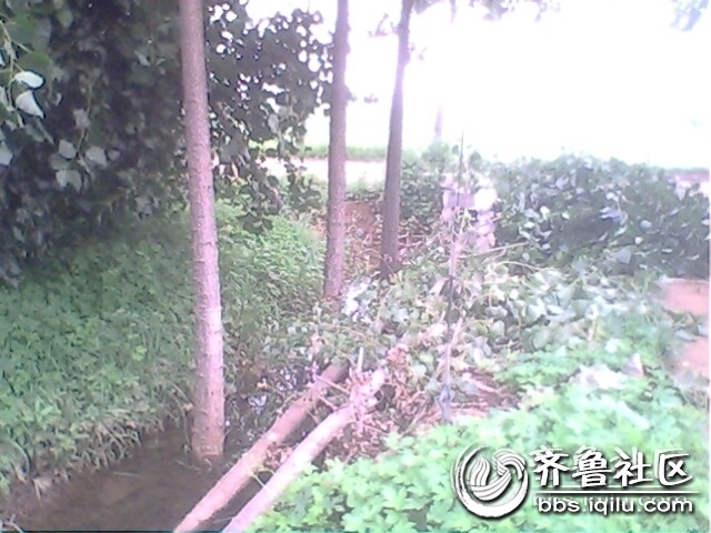 IMG0788A.jpg