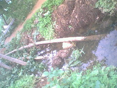 IMG0793A_01.jpg