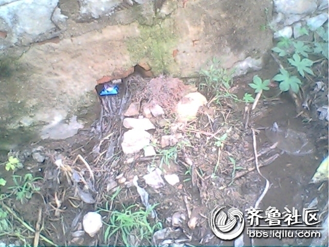 IMG0805A.jpg