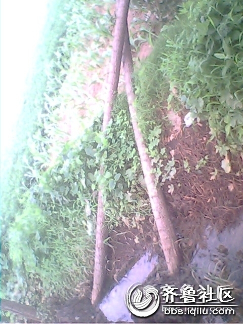 IMG0777A.jpg