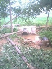 IMG0797A_01.jpg