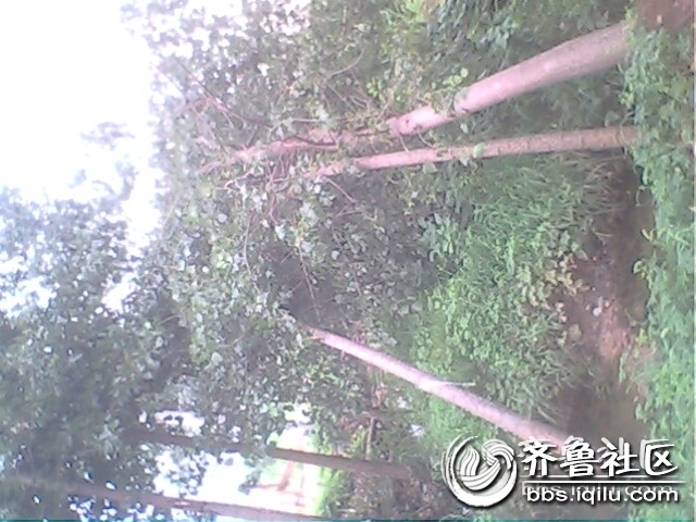 IMG0771A.jpg