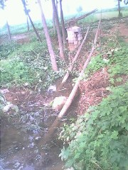 IMG0796A_01.jpg