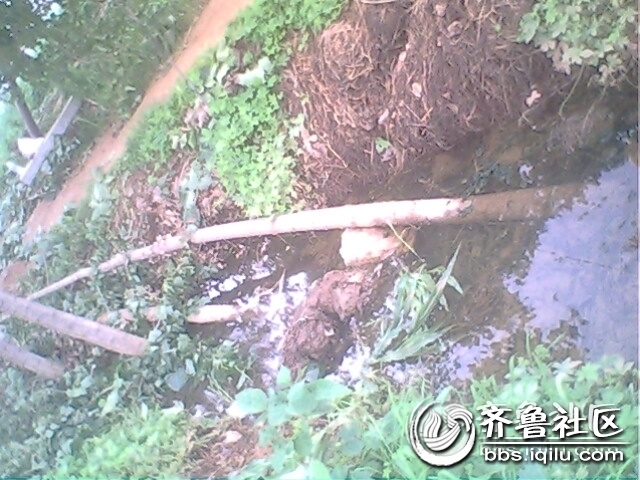 IMG0793A.jpg