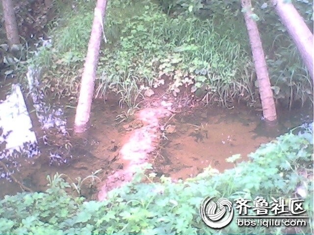 IMG0772A.jpg