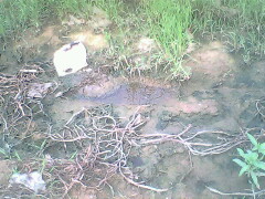 IMG0812A_01.jpg