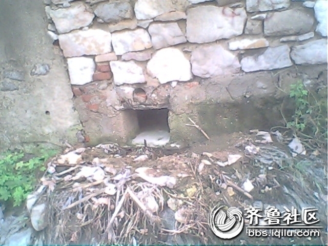 IMG0804A.jpg