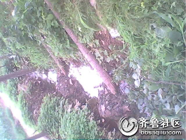 IMG0791A.jpg