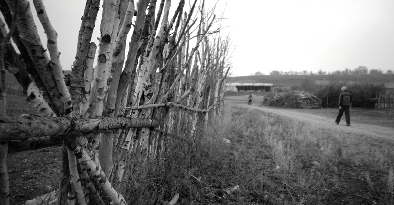 _MG_0052.JPG