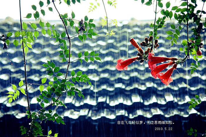 无边思雨.jpg