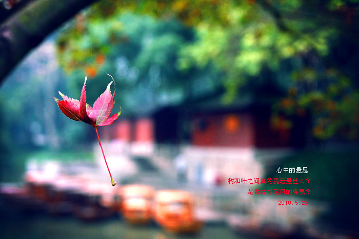 5.23心中的悬思.jpg