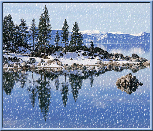 下雪了 让雪花儿再飞 .