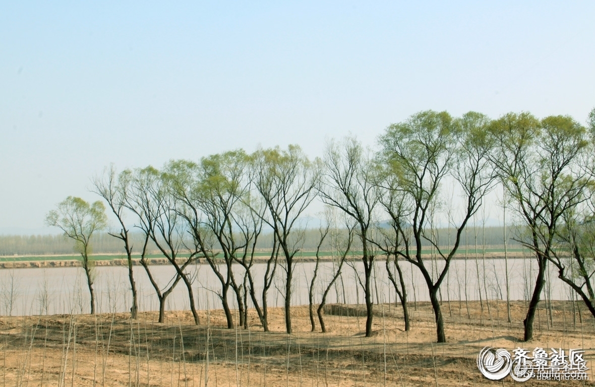 20110406_733770e07d9a91bdml88T887_dzcms_sy.jpg